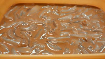 DSC_0697.jpg