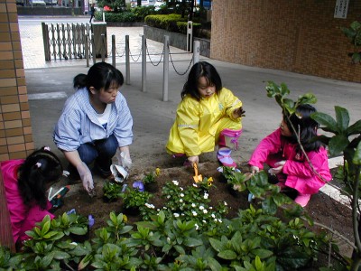 04fall005.jpg