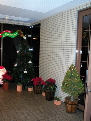 04xmas002.jpg