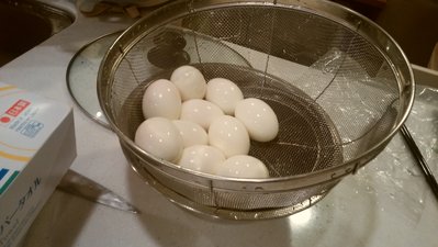 DSC_1313.jpg
