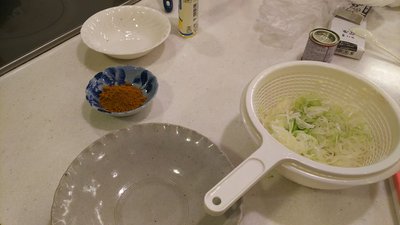 DSC_1005.JPG