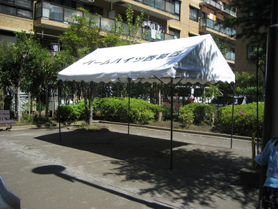 IMG_1262.JPG