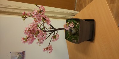 DSC_0032.JPG