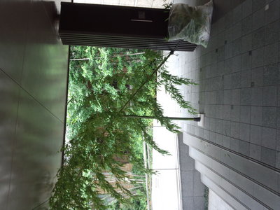 DSC_0007.jpg